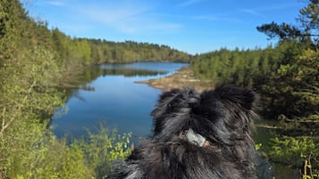 Hiking