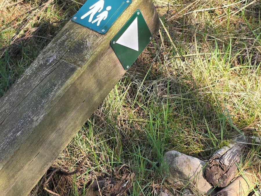 A wooden post with a directional arrow and a pedestrian symbol.