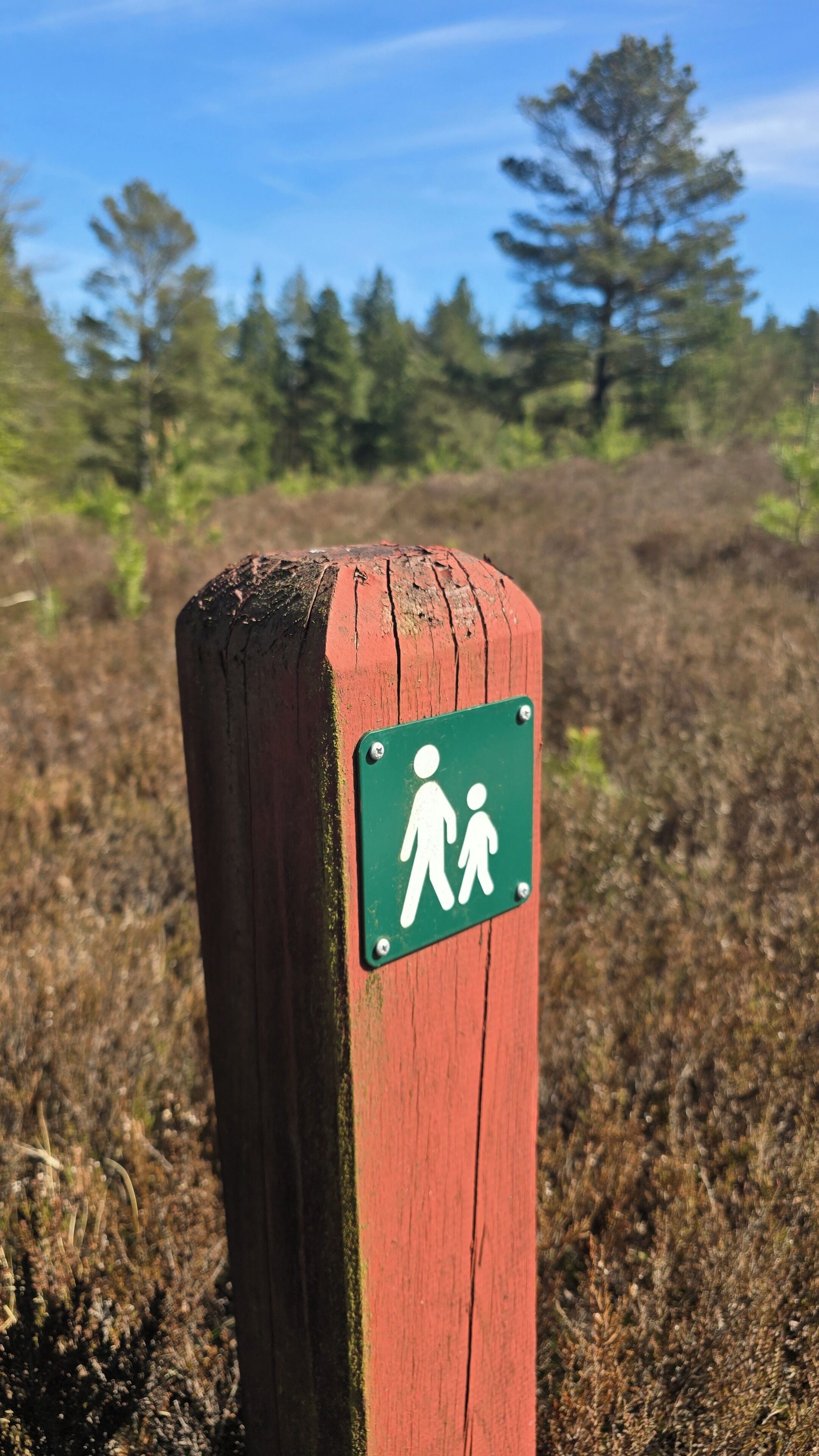 A wooden post with a green sign featuring a walking figure.