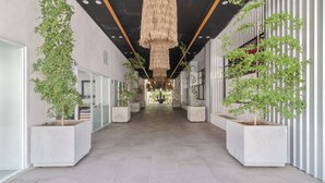 Een gang met potplanten, een hanglamp en een glazen deur links.