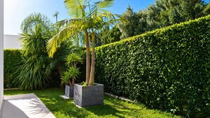 Ein gepflegter Garten mit vielfältigen Pflanzen, darunter Palmen und ein ordentlich geschnittener Hecke.