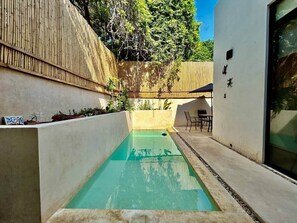 Pool - Casa Kamm The Perfect Home to Visit Merida (Mérida)