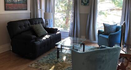 Large Clean Comfortable Centrally Located 1 bedroom Apt