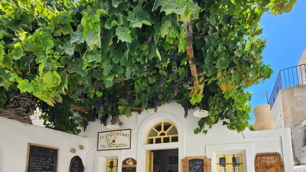 Un espacio al aire libre con mesas y sillas de madera, una bicicleta y un cartel de bodega de vinos.
