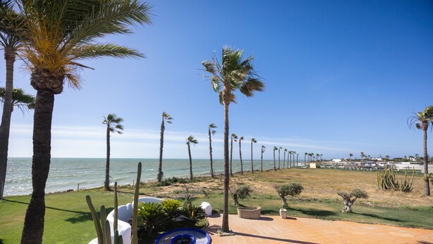 Un patio con palmeras, una piscina y vista al océano.