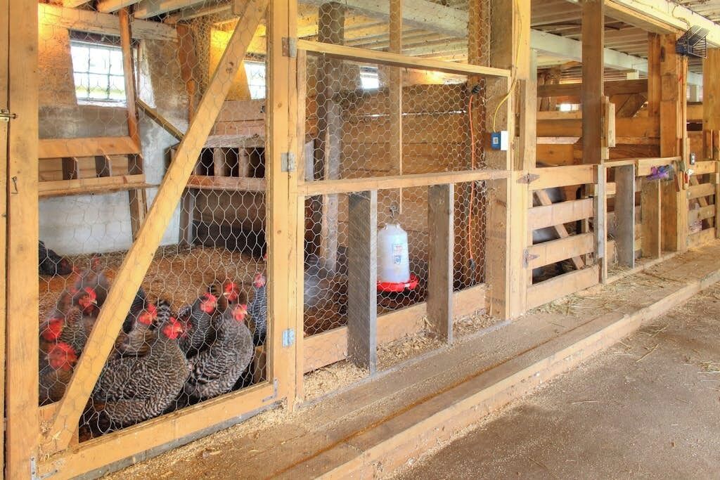 Un poulailler doté de panneaux en treillis métallique et de structures en bois.