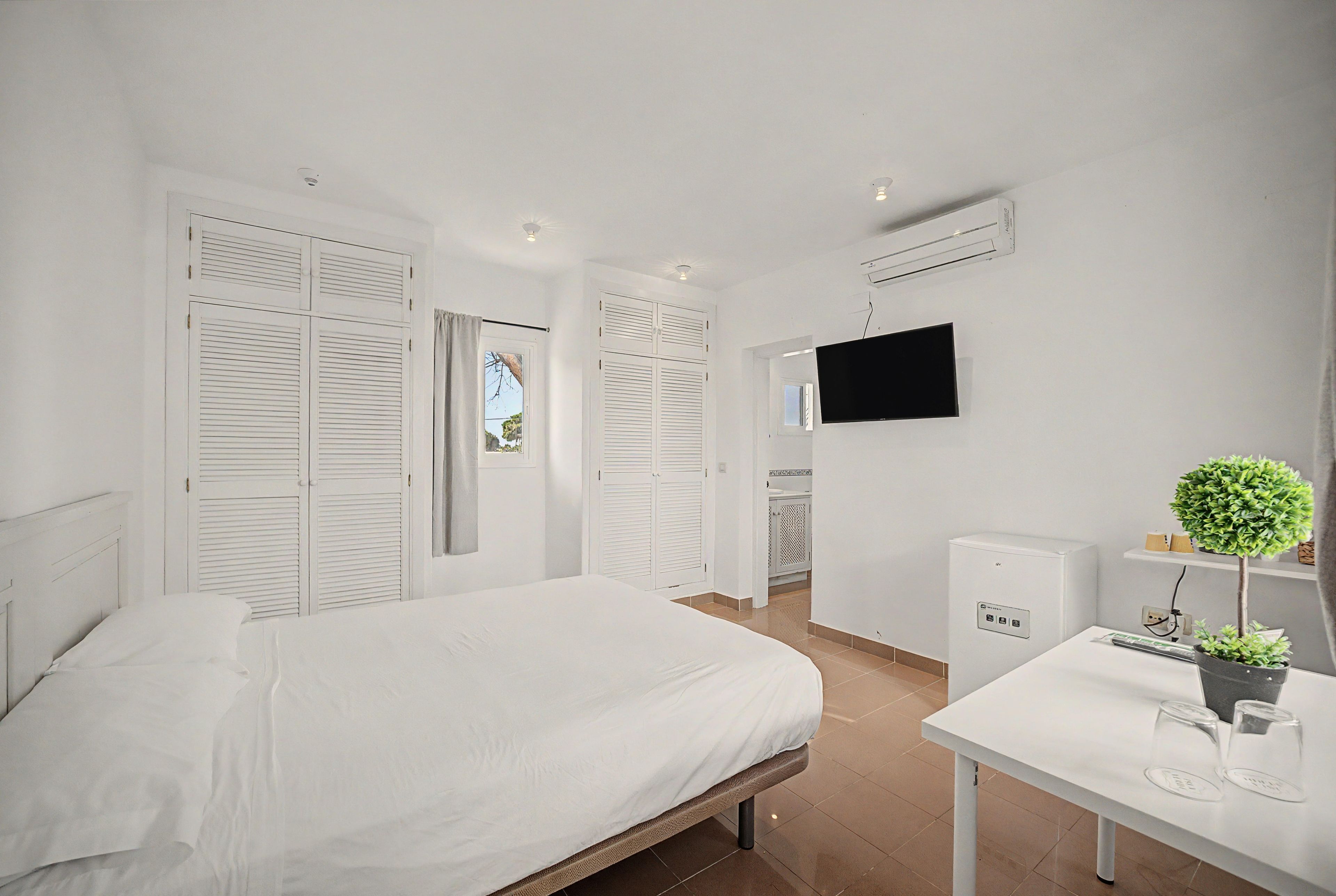 Een hotelkamer met een bed, een bureau, een televisie en een kleine plant.