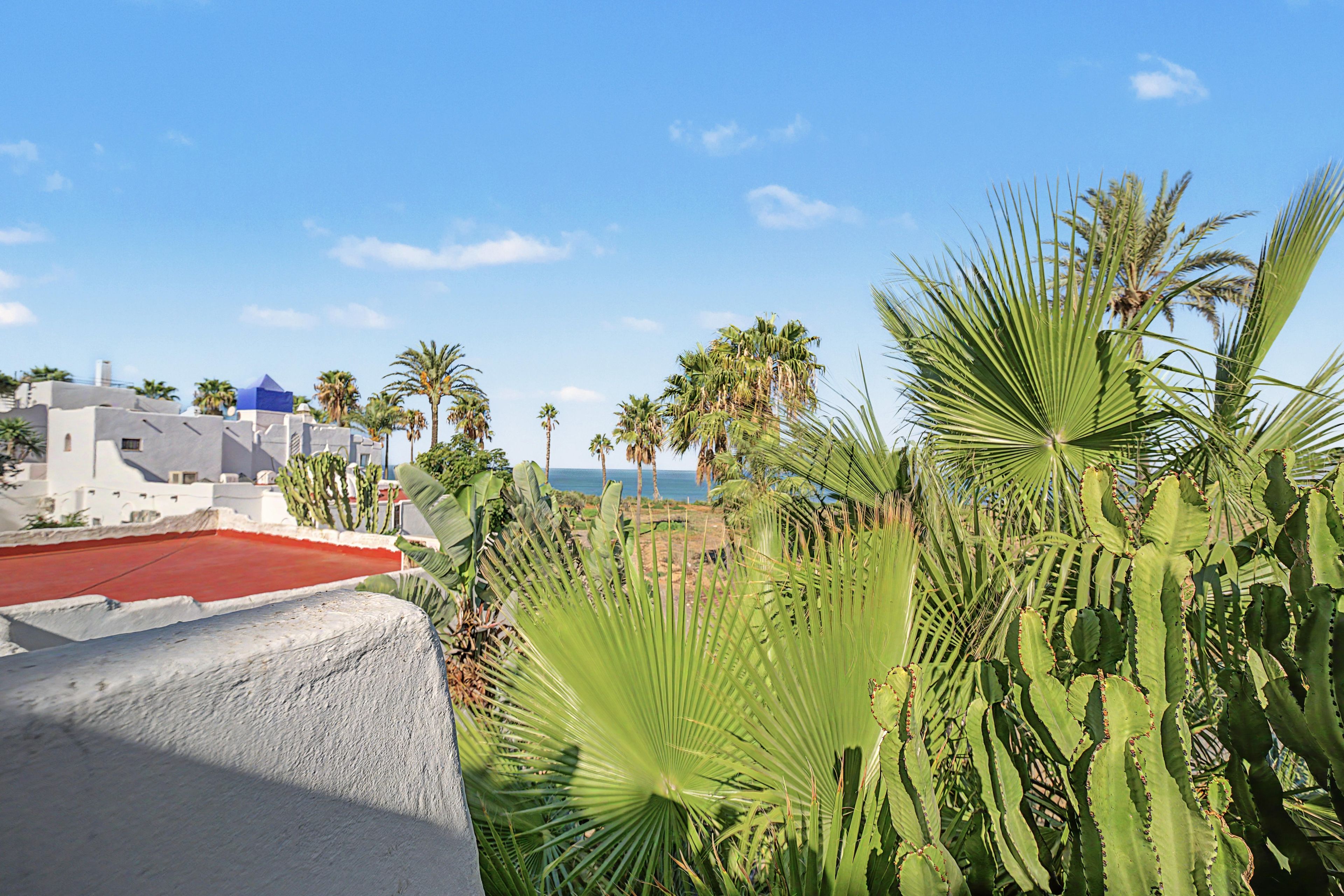 A coastal landscape with a white building, palm trees, and a clear sky.