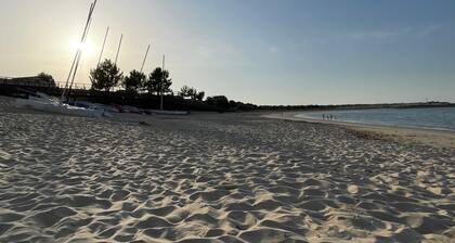 Maison de plage en bois pour les vacances - Le Verdon-sur-Mer (33)