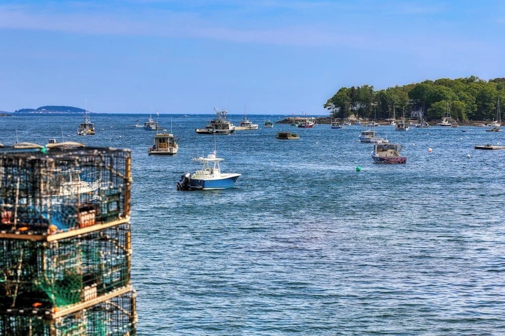 A harbor with multiple boats and a large net structure.