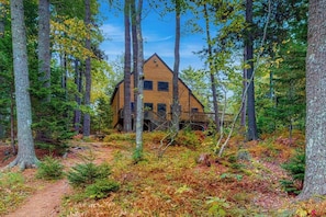 A cabin surrounded by tall trees with a clear sky.