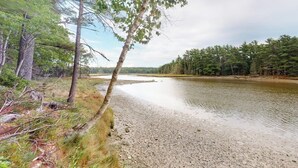 Une rive bordée d’arbres, sous un ciel dégagé.