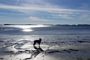 Beach - Dog-friendly home 1 block from beach with firepit, amazing ocean views, & office (Rockland)