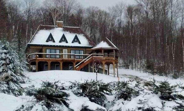 Exterior - Dog-friendly, lake-view chalet with gazebo, wraparound deck, grill, & fireplace (Greenville)