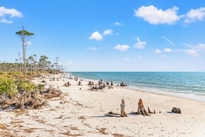 A beach with driftwood and sparse vegetation. - Beach House - Mutual Fun (Port St. Joe)
