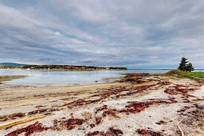 Rannikkomaisema, jossa on rantaa, merilevää ja kauempana näkyvä metsä.