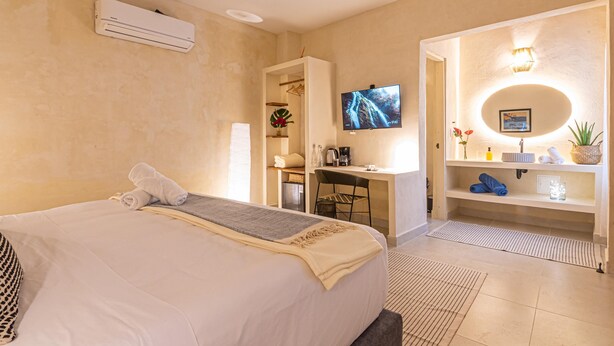 Habitación de hotel con cama, escritorio, televisor y baño con lavamanos y ducha.