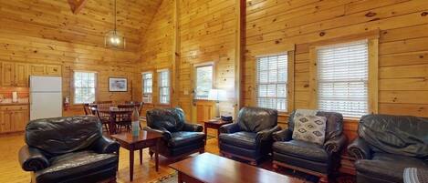 TV, fireplace, DVD player, ping pong