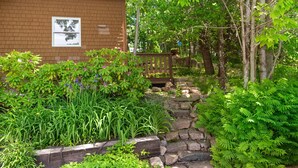 A garden with a brick wall, wooden steps, and various plants.