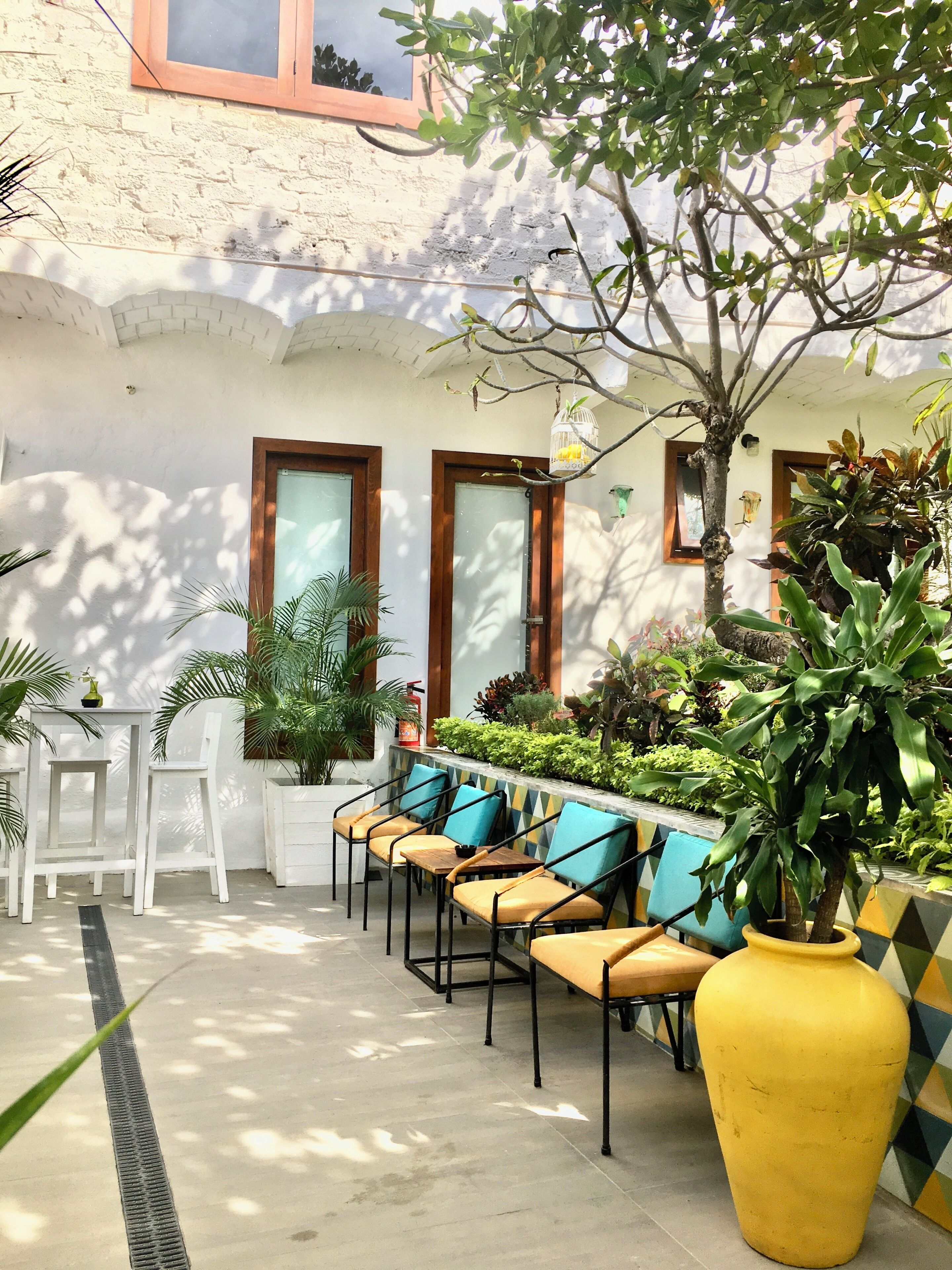 Jardín