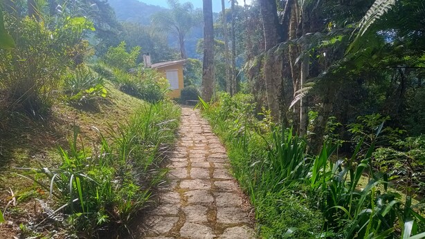 A stone pathway leading to a yellow building surrounded by lush greenery.