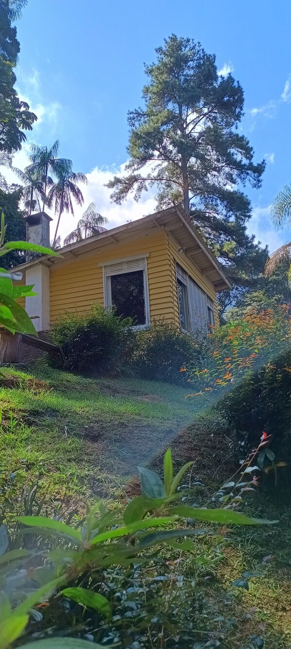 Un edificio amarillo con una ventana y una puerta, rodeado de vegetación y árboles.