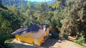 A yellow building with a corrugated metal roof, surrounded by dense forest.