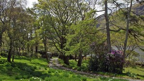 A pathway through a lush green landscape with trees and flowering shrubs. - 4 Bed in Renvyle (oc-i258) (Illaunroe)
