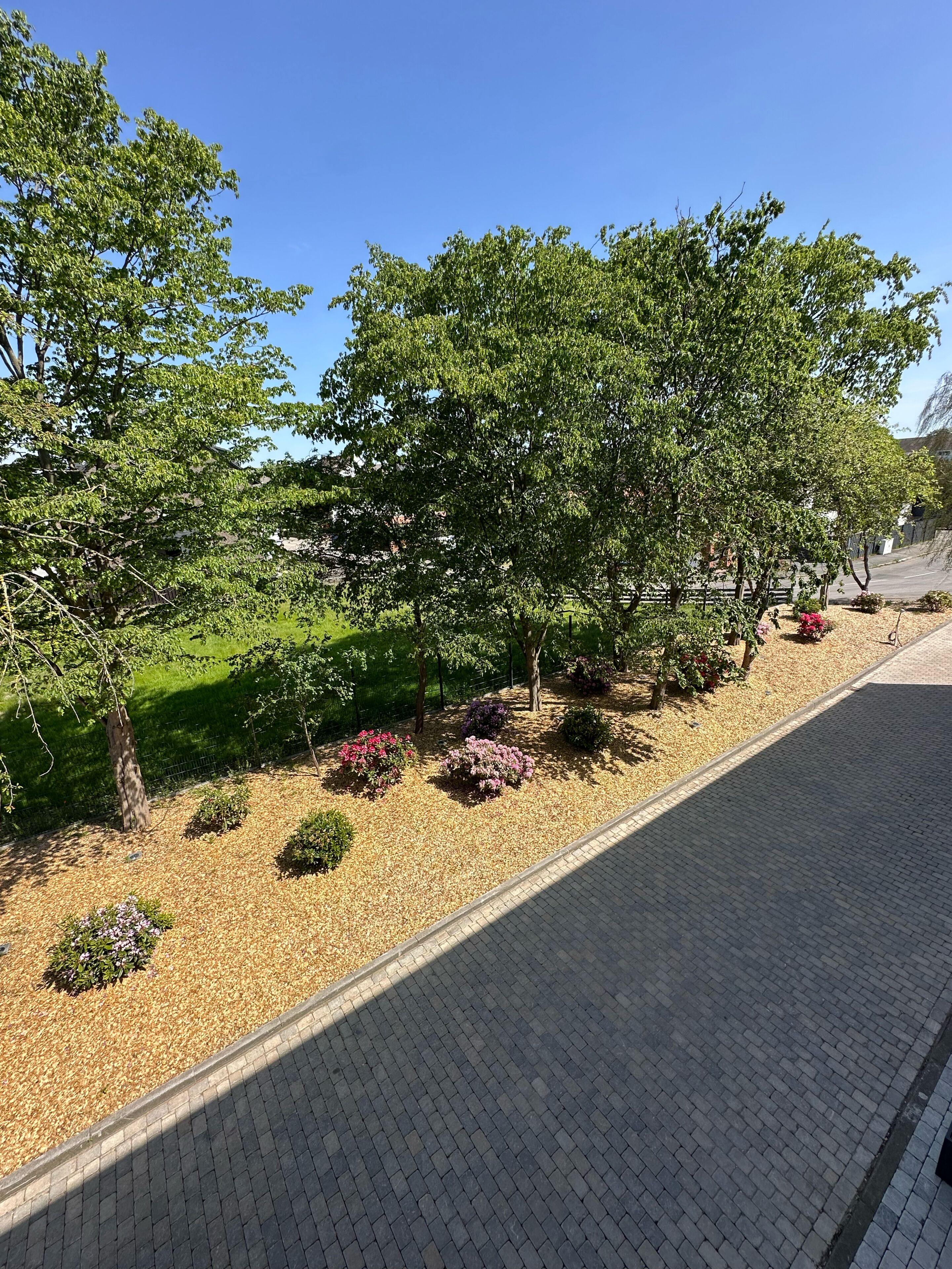 A paved walkway alongside a landscaped area with trees and flowering shrubs.