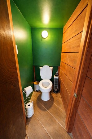 Ducha, toallas, jabón, papel higiénico