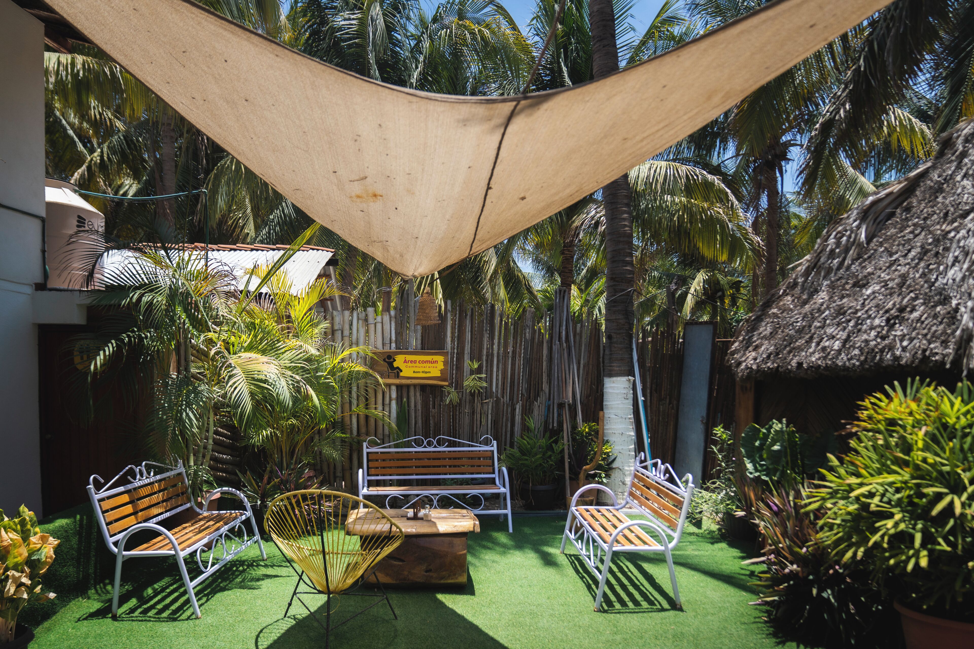 Un espacio al aire libre con sombra, con bancos y una mesa, rodeado de abundante vegetación y palmeras.
