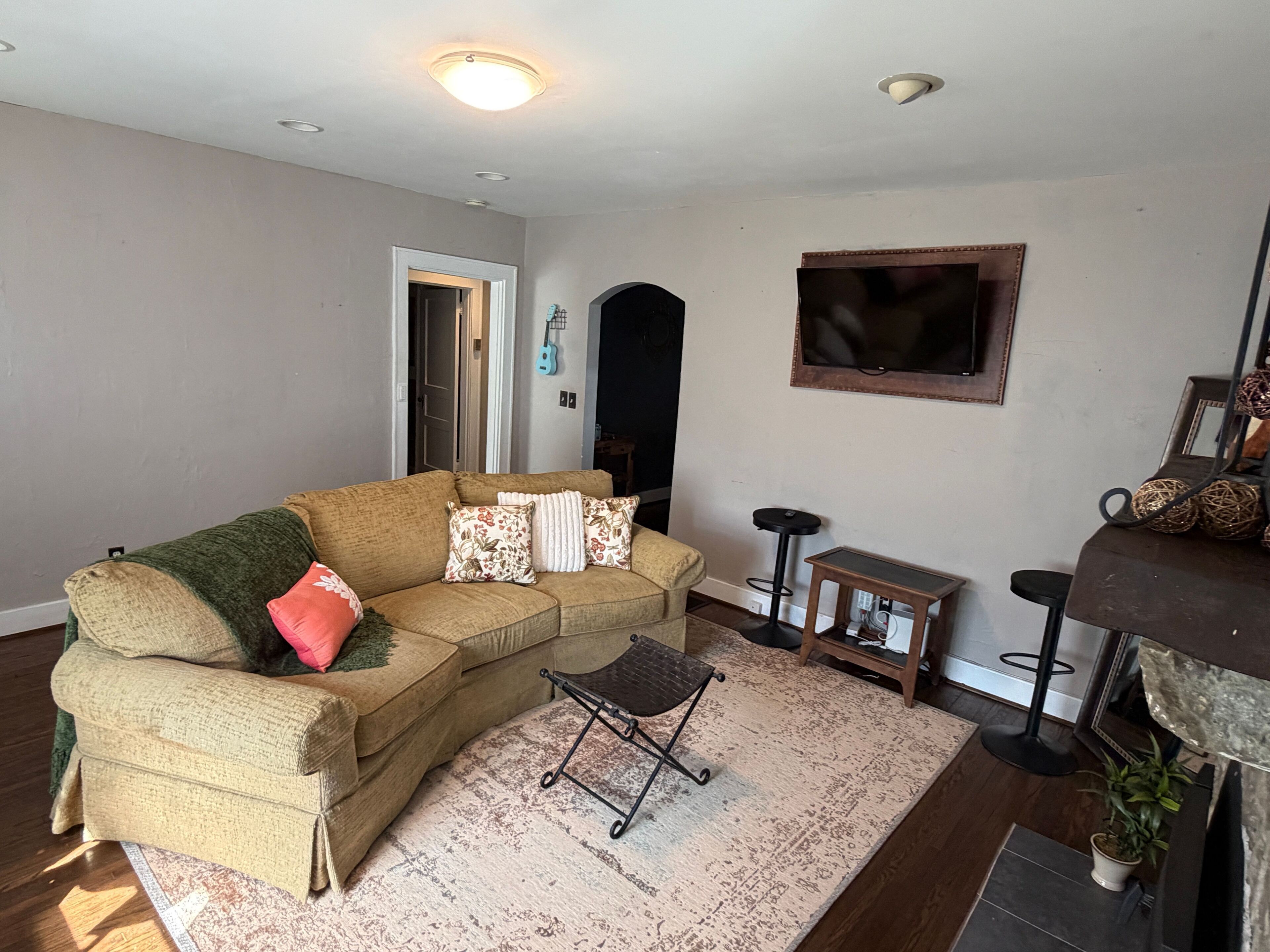 TV, fireplace