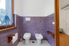 Ducha, secador de pelo y toallas