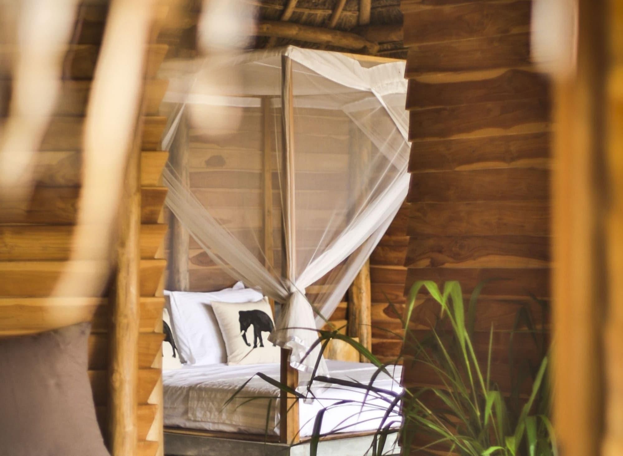 A wooden cabin interior with a bed, a mosquito net, and a plant.