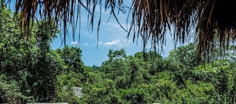 Gal Oya Lodge