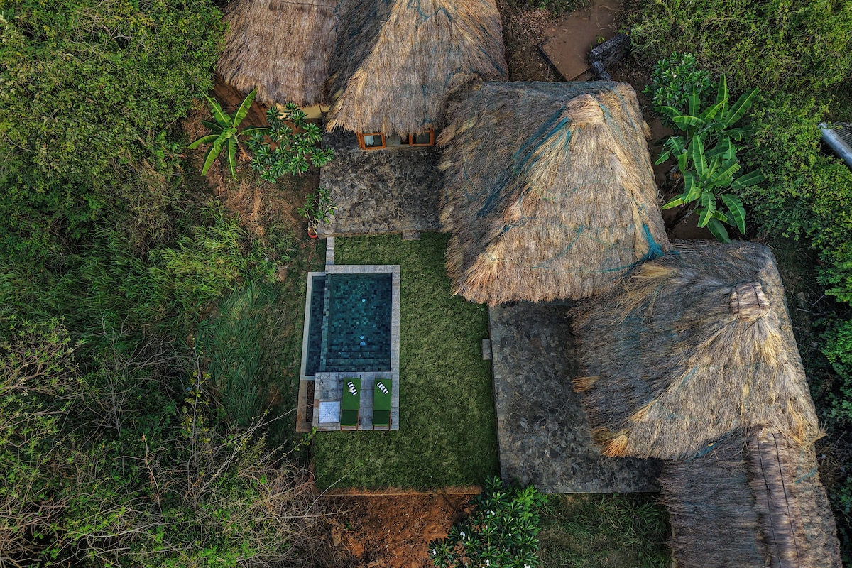 A thatched-roof house with a swimming pool and a small garden area.