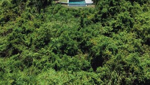 A thatched-roof hut with a pool surrounded by dense forest and mountains in the background.