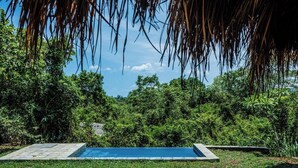A poolside area with a thatched roof, two wooden lounge chairs, a small round table, and a clear view of a swimming pool surrounded by lush greenery. - Gal Oya Lodge (MADULLA)