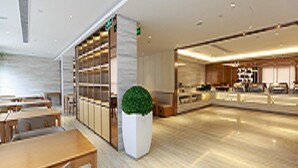 En rymlig hotellobby med en receptionsdisk, en sittgrupp och en stor inomhusväxt.