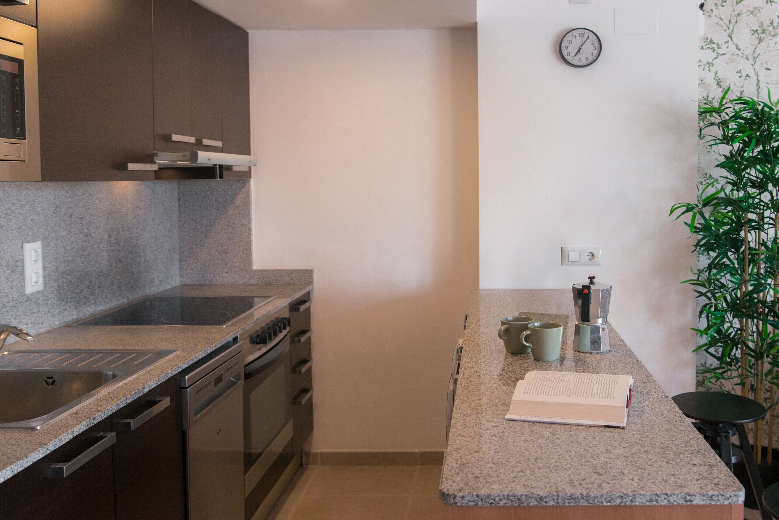 A modern kitchen with a granite countertop, stainless steel appliances, a clock on the wall, and a potted plant.