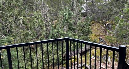 Modern Minimalist Cabin in quiet setting. 12-minute walk to reekside gondola.