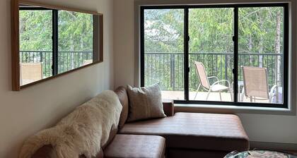 Modern Minimalist Cabin in quiet setting. 12-minute walk to reekside gondola.