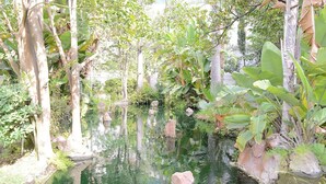 Ein friedlicher Garten mit Teich, umgeben von verschiedenen Pflanzen und Bäumen.