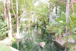 Ein friedlicher Garten mit Teich, umgeben von verschiedenen Pflanzen und Bäumen.