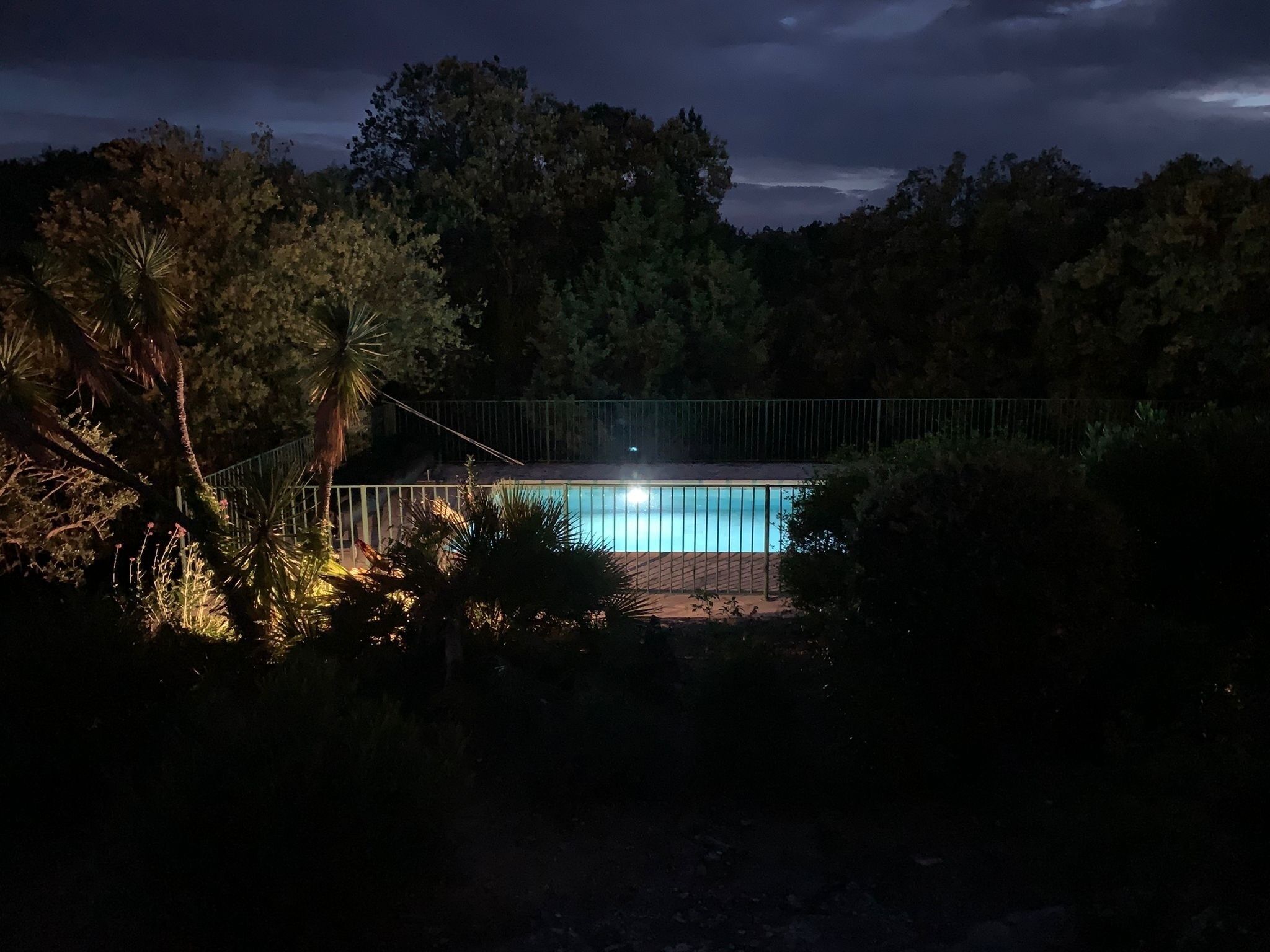 Ein von Bäumen umgebener Pool bei Nacht.