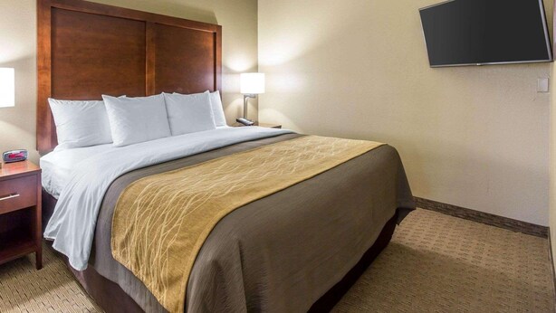 A hotel room with a bed, bedside tables, a TV mounted on the wall, and a carpeted floor.