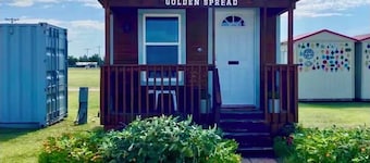 Golden Spread Cabin I Cozy Getaway in Silverton TX