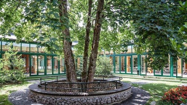A circular stone garden with trees, surrounded by a glass building with green frames.