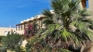 A resort with a palm tree, a pergola, and a building with a beige facade. - Vasia Sea Retreat - Adults Only (Agios Nikolaos)