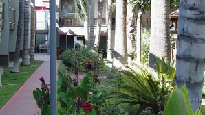 A courtyard with palm trees, a pathway, and a building with a sign that reads 'Restaurant.' - Clarion Hotel Bakersfield North (Bakersfield)
